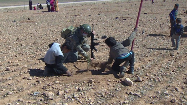Mehmetçik, Tel Abyad’da kullanılmayan arazileri ağaçlandırıyor